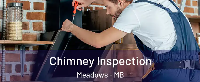 Chimney Inspection Meadows - MB