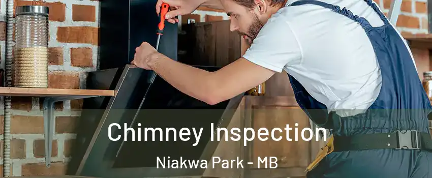  Chimney Inspection Niakwa Park - MB