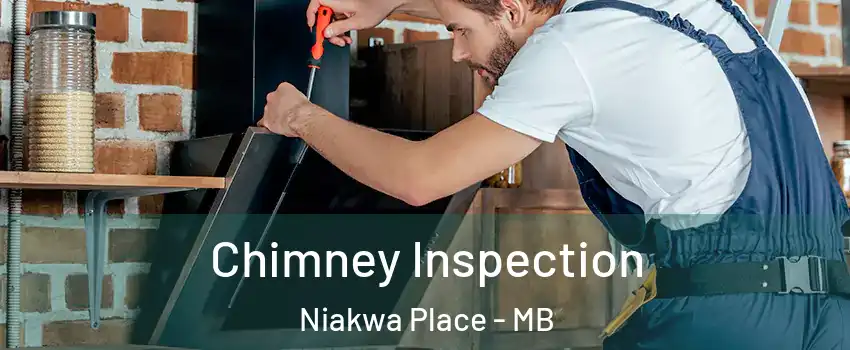  Chimney Inspection Niakwa Place - MB