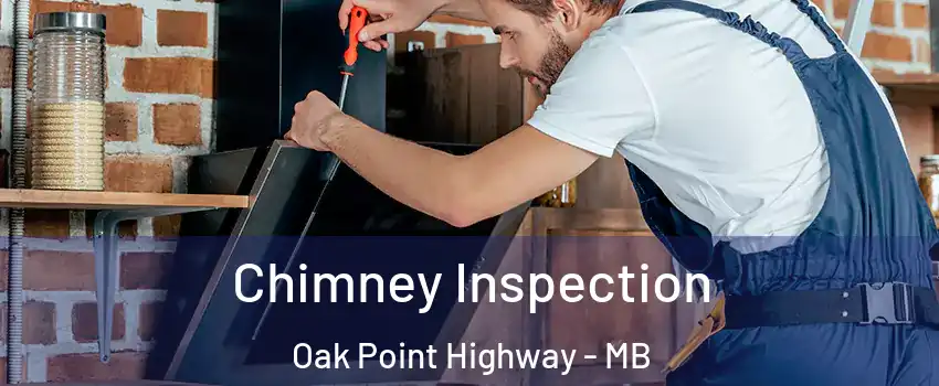  Chimney Inspection Oak Point Highway - MB