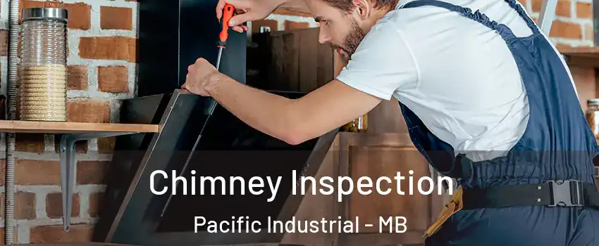  Chimney Inspection Pacific Industrial - MB