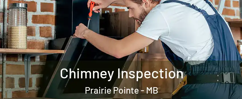  Chimney Inspection Prairie Pointe - MB