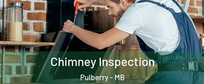 Chimney Inspection Pulberry - MB