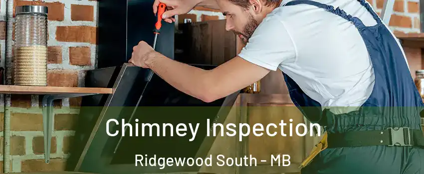  Chimney Inspection Ridgewood South - MB