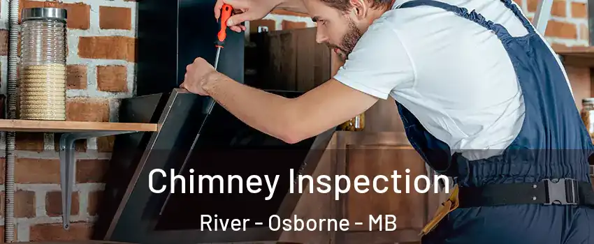  Chimney Inspection River - Osborne - MB