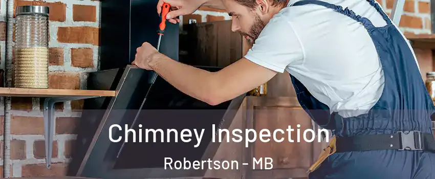  Chimney Inspection Robertson - MB