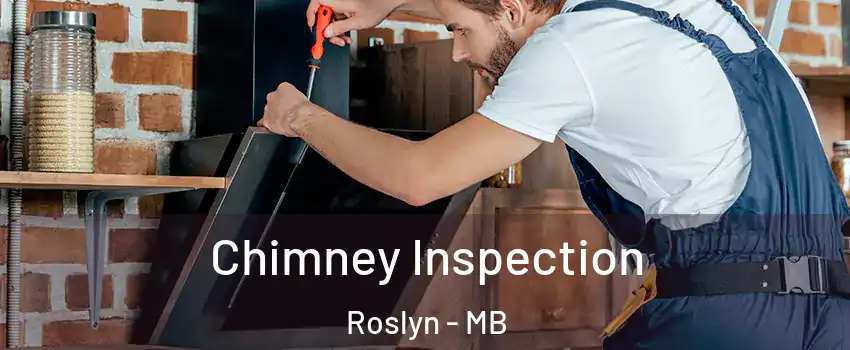  Chimney Inspection Roslyn - MB