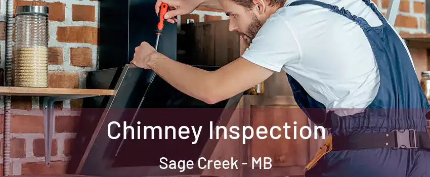  Chimney Inspection Sage Creek - MB