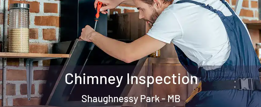  Chimney Inspection Shaughnessy Park - MB