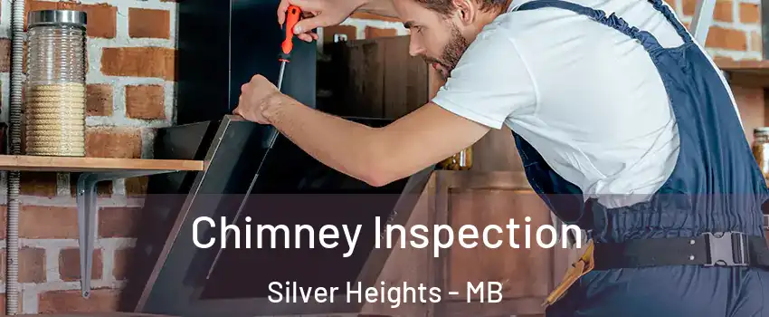  Chimney Inspection Silver Heights - MB