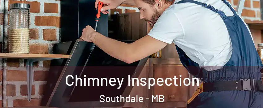  Chimney Inspection Southdale - MB