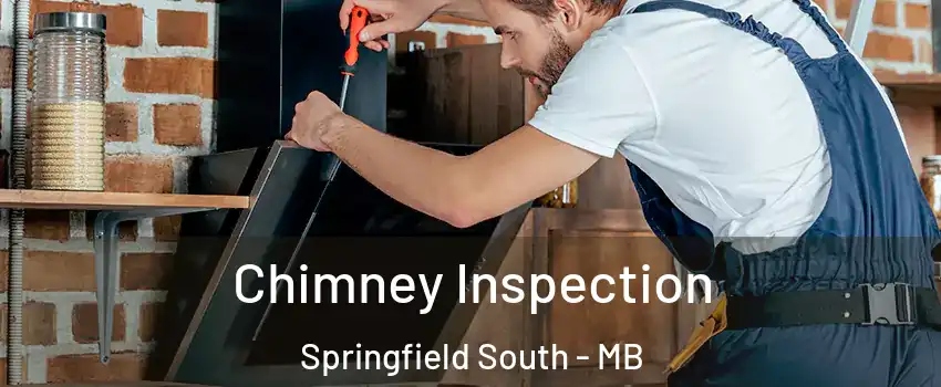  Chimney Inspection Springfield South - MB