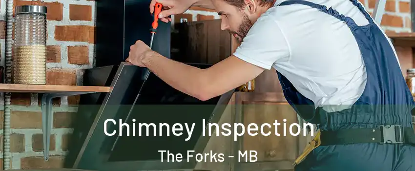  Chimney Inspection The Forks - MB