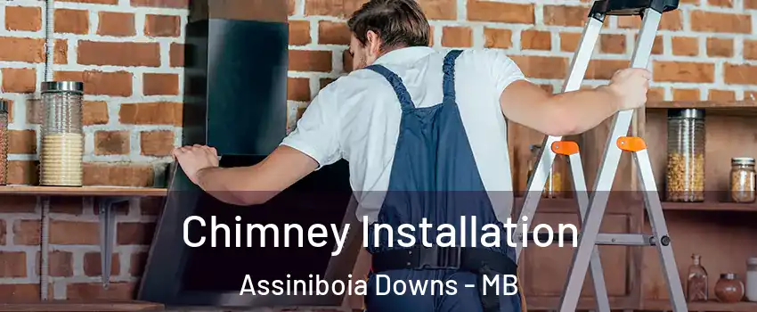  Chimney Installation Assiniboia Downs - MB