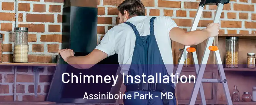 Chimney Installation Assiniboine Park - MB