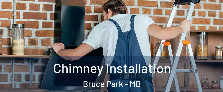  Chimney Installation Bruce Park - MB