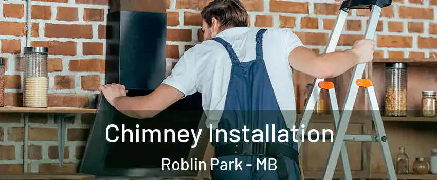  Chimney Installation Roblin Park - MB