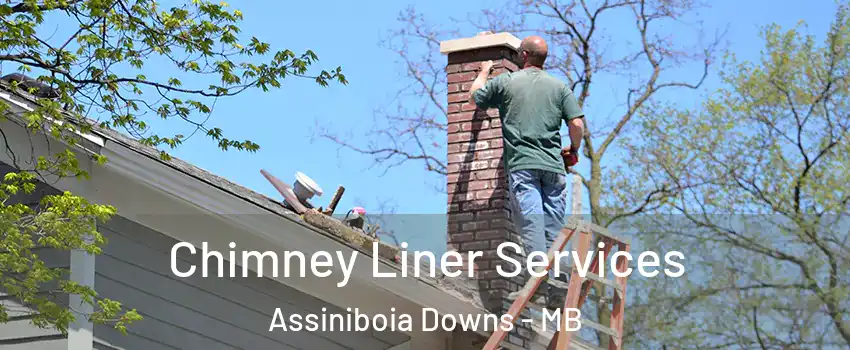  Chimney Liner Services Assiniboia Downs - MB