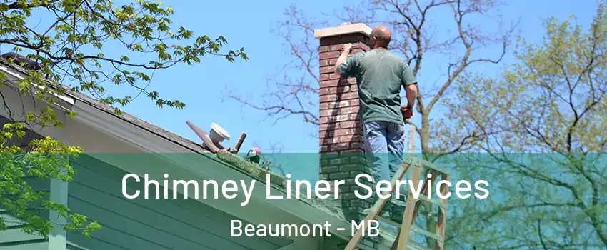  Chimney Liner Services Beaumont - MB