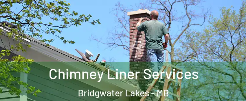 Chimney Liner Services Bridgwater Lakes - MB