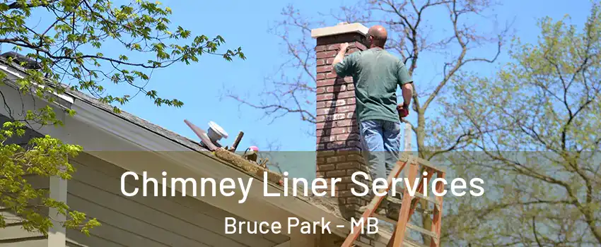  Chimney Liner Services Bruce Park - MB