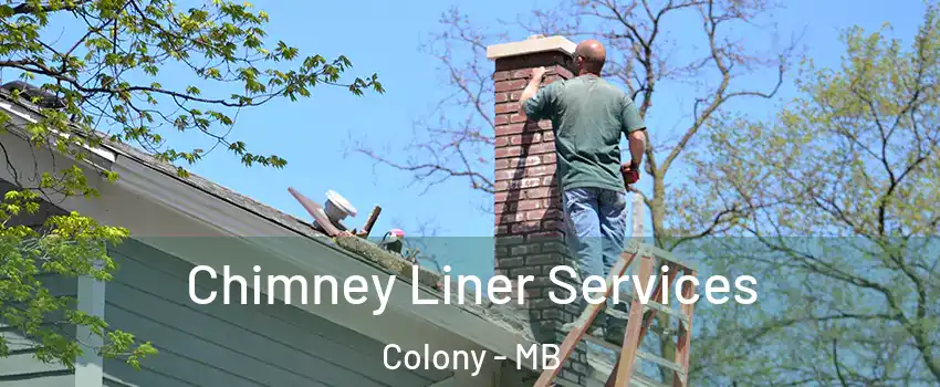  Chimney Liner Services Colony - MB