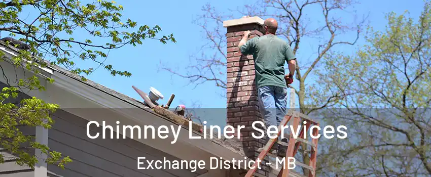 Chimney Liner Services Exchange District - MB