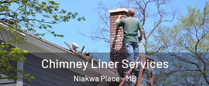  Chimney Liner Services Niakwa Place - MB