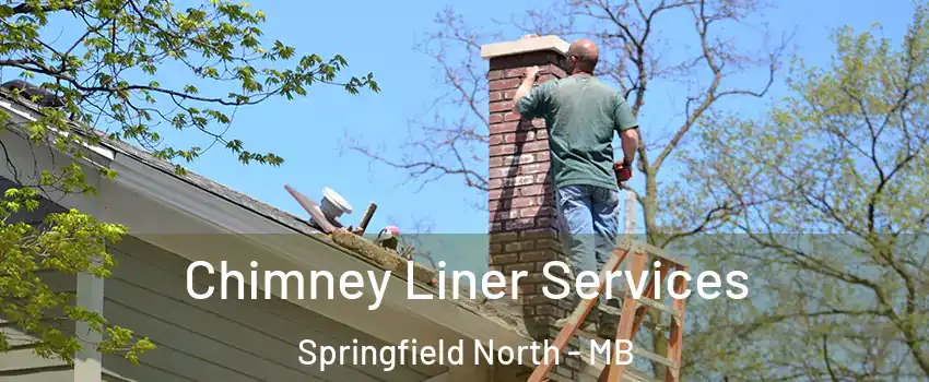  Chimney Liner Services Springfield North - MB