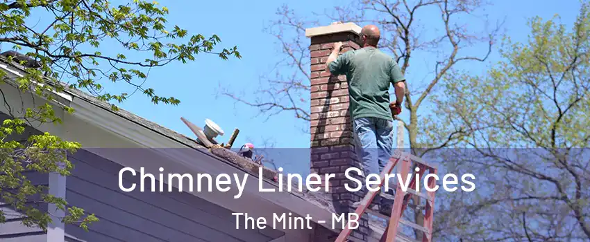  Chimney Liner Services The Mint - MB