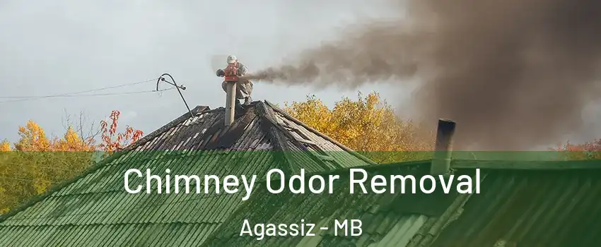  Chimney Odor Removal Agassiz - MB