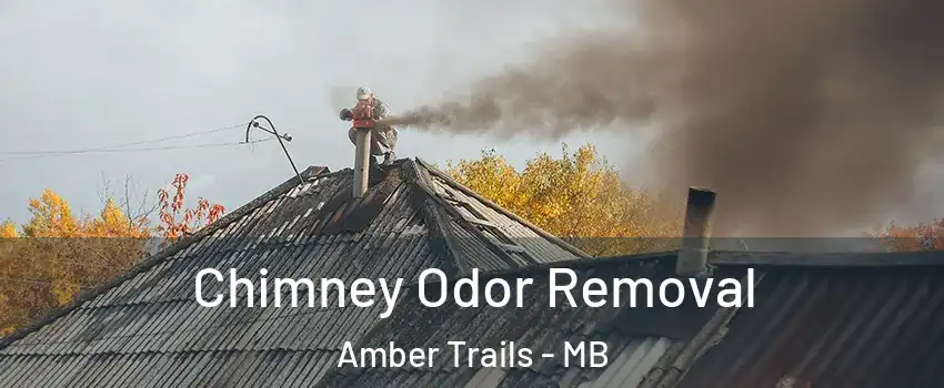  Chimney Odor Removal Amber Trails - MB
