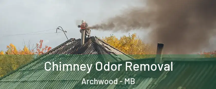  Chimney Odor Removal Archwood - MB