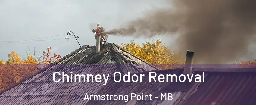  Chimney Odor Removal Armstrong Point - MB