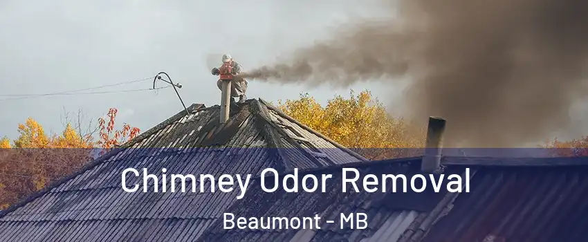  Chimney Odor Removal Beaumont - MB