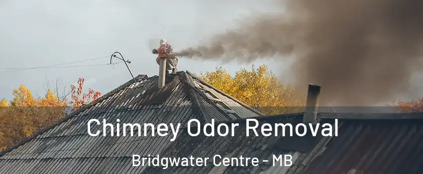 Chimney Odor Removal Bridgwater Centre - MB