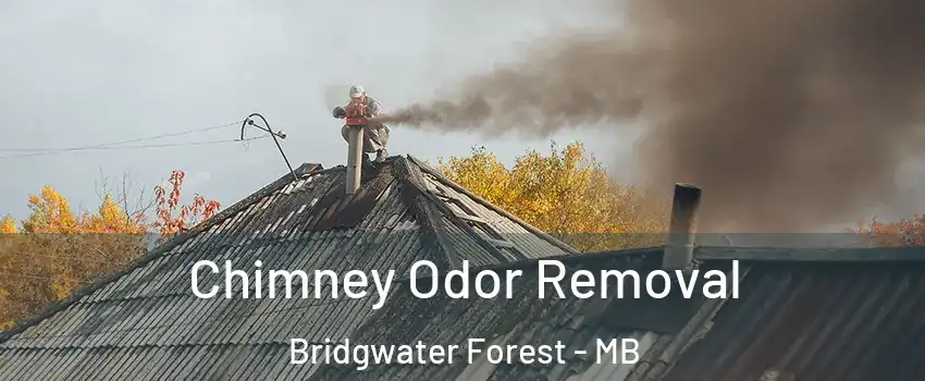  Chimney Odor Removal Bridgwater Forest - MB