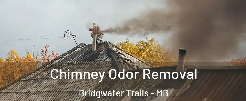  Chimney Odor Removal Bridgwater Trails - MB