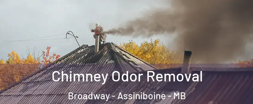  Chimney Odor Removal Broadway - Assiniboine - MB