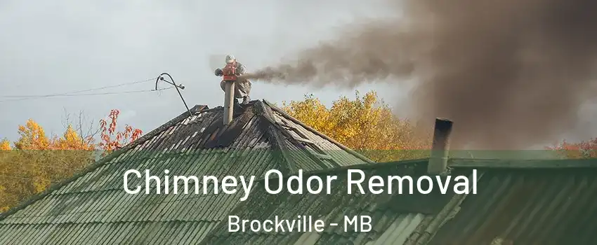  Chimney Odor Removal Brockville - MB