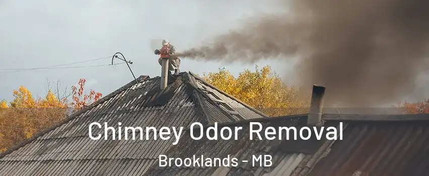  Chimney Odor Removal Brooklands - MB