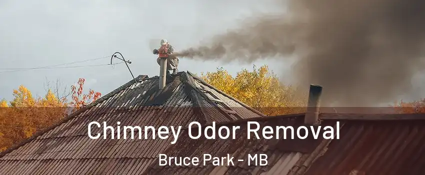  Chimney Odor Removal Bruce Park - MB