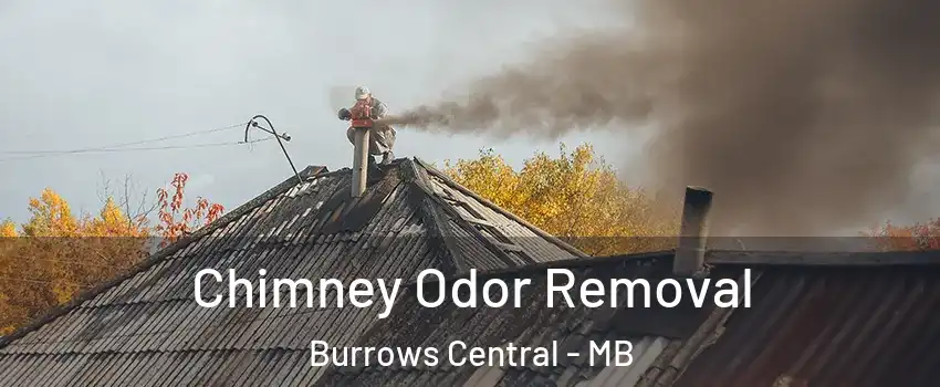  Chimney Odor Removal Burrows Central - MB