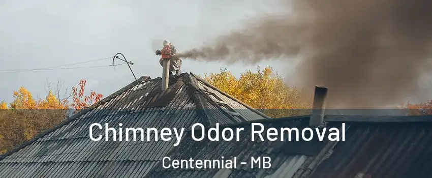  Chimney Odor Removal Centennial - MB