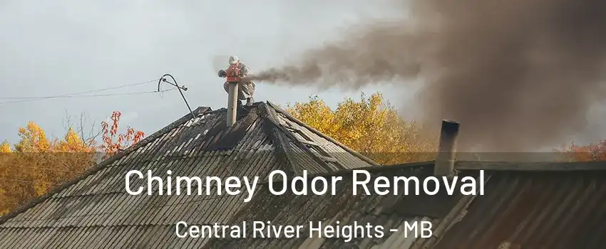  Chimney Odor Removal Central River Heights - MB
