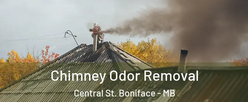  Chimney Odor Removal Central St. Boniface - MB