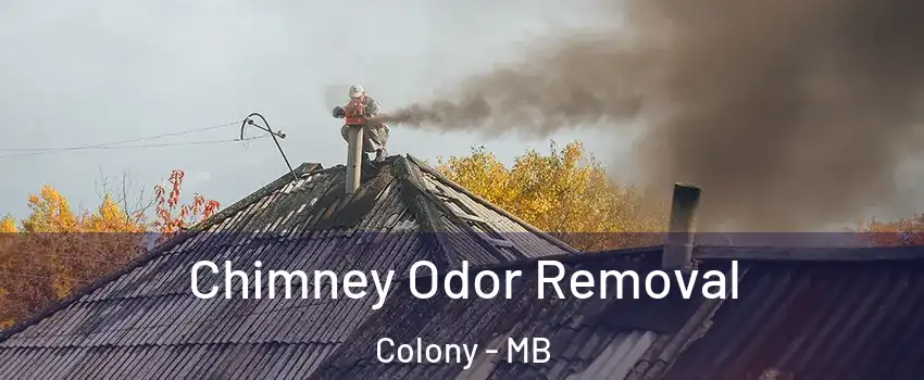  Chimney Odor Removal Colony - MB