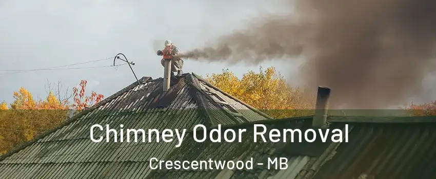  Chimney Odor Removal Crescentwood - MB