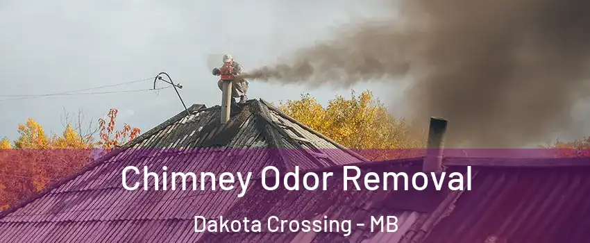  Chimney Odor Removal Dakota Crossing - MB