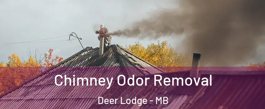  Chimney Odor Removal Deer Lodge - MB